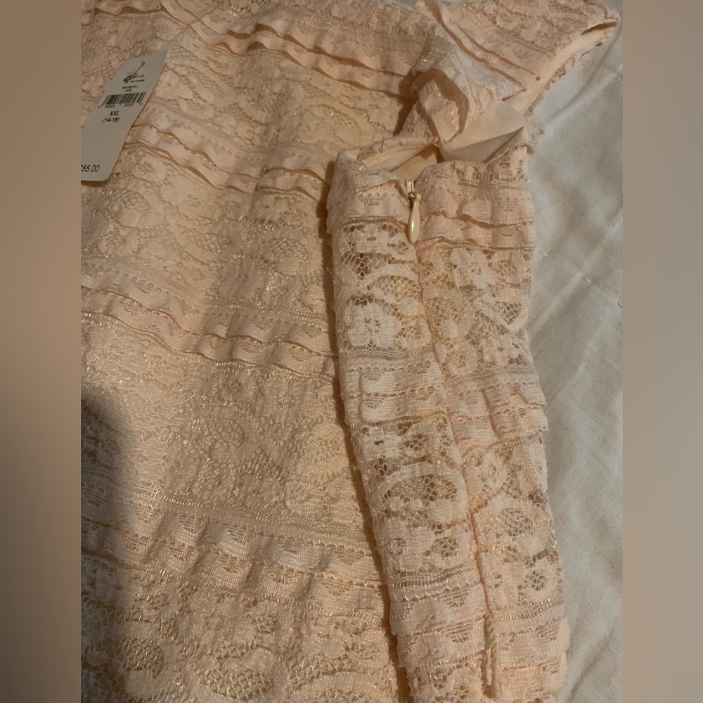 NWT kids Gap XXL 14-16 Blush pink lace dressy dress, with tiered ruffles lined - Picture 7 of 8